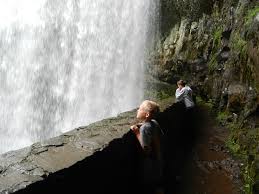 Maybe you would like to learn more about one of these? A Rustic Cabin Stay At Silver Falls State Park Oregon Pitstops For Kids