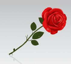 Check spelling or type a new query. Andrea Blog Kata2 Tentang Bunga Mawar