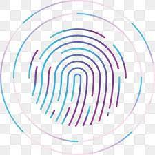 Colorful Fingerprint Fingerprints Fingerprint Unlock Human Handprint Png And Vector With Transparent Background For Free Download Background Banner Background Patterns Abstract Pattern