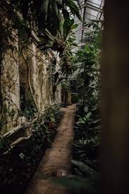 Die gartenanlage grenzt im westen an das auditoriengebäude und im südosten an das deutsche theater. Succulent Love Portraits Im Botanischen Garten Gottingen
