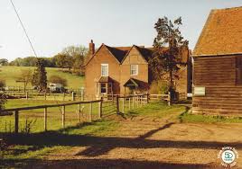 Image result for Golden Yellow 1986 Three Rivers District Council