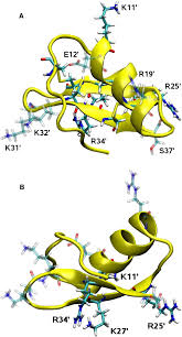 Mechanism and Energetics of Charybdotoxin Unbinding from a Potassium  Channel from Molecular Dynamics Simulations