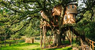 On treehouselove.com, you'll find hundreds of tree houses, some of them located in france but so, if you are looking for a comprehensive selection of tree houses and to go glamping, you're in the right. Treehouse Glamping Holidays Treehouse Holidays Uk Canopy Stars