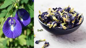 Our selection of dehydrated edible flowers is superior and diversified. All About Butterfly Pea Flower The Ingredient Turning Food And Drink True Blue Cbc Life