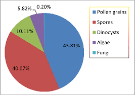 Pie Chart Showing The Percentage Frequency Distribution Of