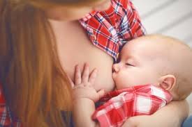 Newborn Stomach Size Breastfeeding For The First 12 Months