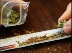 Hasil gambar untuk ganja dalam plastik