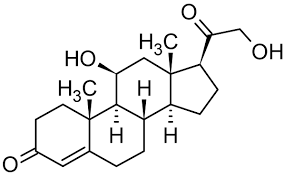 Die steroidhormone der säugetiere können in fünf gruppen eingeteilt werden. Corticosterone Endogenous Steroid Hormone Cas 50 22 6 Ab143597 Abcam