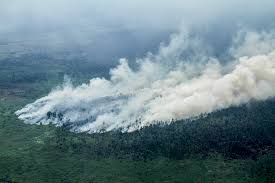 Waduk gunung rowo merupakan sebuah waduk yang terletak di desa sitiluhur, kecamatan gembong. Menyasar Dan Memenjarakan Para Peladang Mongabay Co Id Mongabay Co Id