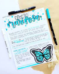 Pin En Mapa Conceptual