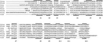 Beautiful red flowers pics : Four New Members Expand The Interleukin 1 Superfamily Journal Of Biological Chemistry