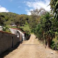 Invierta en su salud. Plan de financiamiento comunicarse con la Dra Yoly  Duran 04247109105 Mérida Venezuela