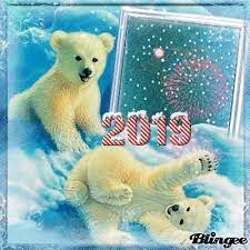 Polar Bear 2019 New Year Happy New Year 2019 Quotes 2019 Gif Polar Bear Polar Bear