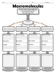 Graphic Organizer For Organic Or Macromolecules Study Biology Biology Activity Biology Lessons