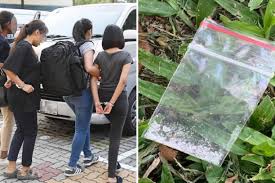 Central narcotics bureau, singapore's primary drug enforcement agency. 159 Suspected Drug Offenders Arrested In 12 Day Cnb Blitz Including 13 Year Old Singapore News Asiaone