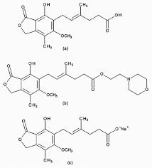 Image result for Mycophenolate