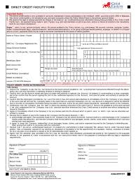 You can save a direct credit payment as a template. Direct Credit Facility Form Payments Liquidation