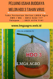 Pin Di Peluang Bisnis