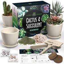 This method will not work for every species of cactus, but is while you can make your own cactus soil mixtures, this is not really worth it for the new grower. Cactus Succulent Grow Kit High Germination Non Gmo Heirloom Seed Packs