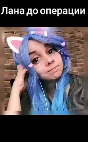 Кошка Лана Без Парика