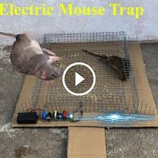 Make a live humane mouse trap in under one minute! Electric Mouse Trap Reject Homemade Mousetrap Mouse Trap Monday Best Humane Homemae Battery Catch Kill Electric Mouse Trap Mouse Traps Rat Traps
