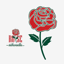 100pcs red rose seed professional seedling floer plant/ vary colors selection garden flowers seeds pot bonsai. Beautiful Blooming Red Rose Flower Graphic Rose Flower Roses Png And Vector With Transparent Background For Free Download