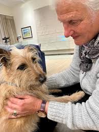 Plett Lost And Found Pets Only