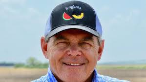 Seedless watermelons: The taste of summer