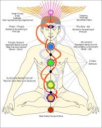 Image result for chakras