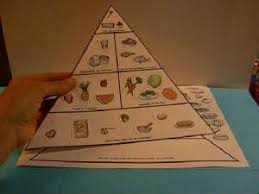 Pin On Teach Human Body