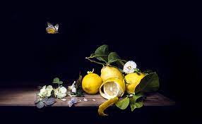 Natura Morta Con Limoni E Farfalle