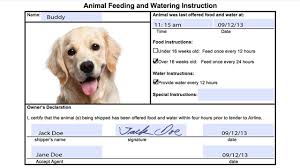 Pets are not permitted to travel in the baggage compartment on airbus aircraft. Usda Aphis Preparing And Receiving Pets For Air Travel Instructions Lesson 1