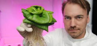 Wasser: Ein Chip soll Meerwasser in Trinkwasser verwandeln