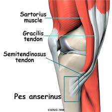 Pin On Body Fit