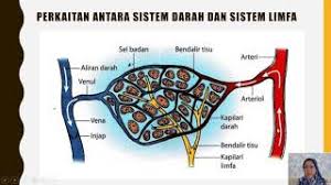 Pengangkutan awam biasanya dikawal sebagai pengangkutan umum dan biasanya dikonfigurasi untuk menawarkan perkhidmatan berjadual dalam laluan tetap tanpa tempahan. Konsep Dan Takrifan Sistem Pengangkutan Cute766