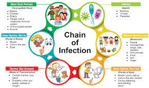 So, to understand how an infection occurs, it's useful to think of it as a chain. Chain Of Infection Ottawa Public Health