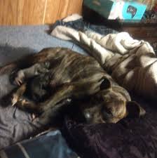 Profile for Thomas Kreiser Jr.