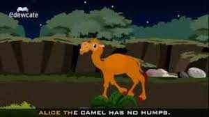 Alice the camel has no humps. Edewcate English Rhymes Alice The Camel Has Five Humps Youtube