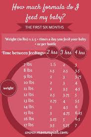 the new parents formula feeding chart for the first six