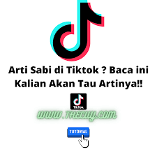 Interaksi dino yang menggemaskan bakal bikin hasilnya makin harmonis dan. Arti Sabi Di Tiktok Baca Ini Kalian Akan Tau Artinya The Cuy