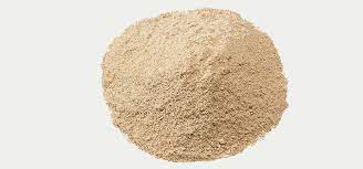 Ragi bereproduksi secara vegetatif melalui tunas dan generatif melalui pembentukan askospora. 3 Jenis Ragi