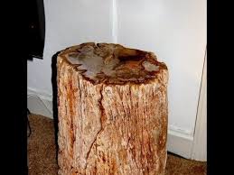 Natural Wood Side Table Stool Log Stools Rustic Accent Table Side Table Wood