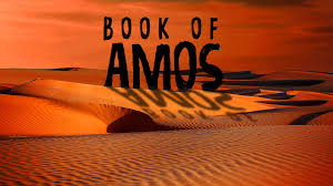 Amos 1:1 identifies the author of the book of amos as the prophet amos. The Messenger Book Of Amos Youth Group Bible Series Ministry To Youth