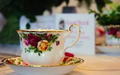 Sharpe House Tea and Tour