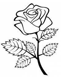 Disegni Di Primavera Da Colorare E Stampare Disegno Di Rose Disegni Di Rose Contorno Rosa