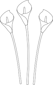 Calla Lilies Line Art Free Clip Art Flower Line Drawings Flower Drawing Lilies Drawing