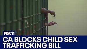 MUST WATCH!!! KASH PATEL SEX TRAFFICKED CHILDREN DURING TRUMP ADMINISTRATION with GENERAL MARK MILLEY, GENERAL MICHAEL FLYNN, TIM BALLARD, CRAIG (SAWMAN) SAWYER, and others THROUGH BISS LAW OFFICE ESPIONAGE OPERATION