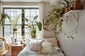 Boogzel apparel is an online boutique featuring aesthetic clothing, egirl aesthetics, grunge style, pastel and artsy outfits. Beginner Plant Parenting Tips Jnaydaily