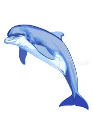 カシオペア カタリナ カミール ガリオ カリスタ カルマ ガレン ガングプランク キヤナ キンドレッド クイン グラガス グレイブス クレッド ケイトリン ケ. æœ€ã‚‚äººæ°—ã®ã‚ã‚‹ ã‚¤ãƒ«ã‚« ã‚¤ãƒ©ã‚¹ãƒˆ ãƒªã‚¢ãƒ« ã‹ã‚ã„ã„ãƒ•ãƒªãƒ¼ç´ æé›† ã„ã‚‰ã™ã¨ã‚„