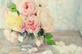 We did not find results for: 10 Hardy Roses To Plant In Canada Canadian Living
